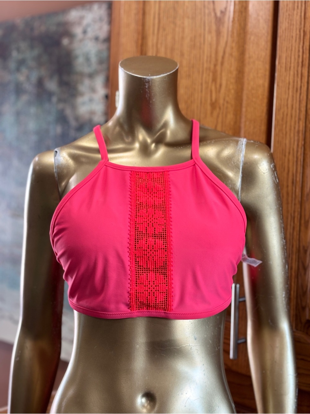 aerie Hot Pink Crochet-Front High Neck Bralette Swim top